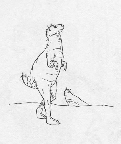 Clive Barker - Untitled AA115