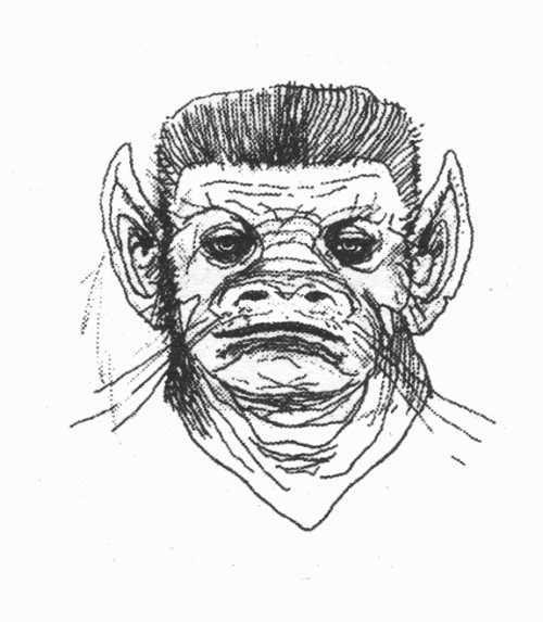 Clive Barker - Untitled - AA175