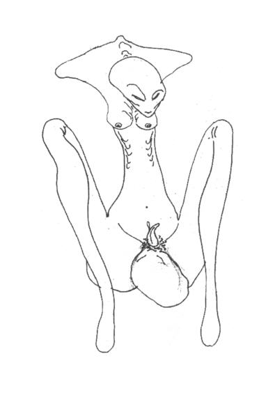 Clive Barker - Untitled AA92