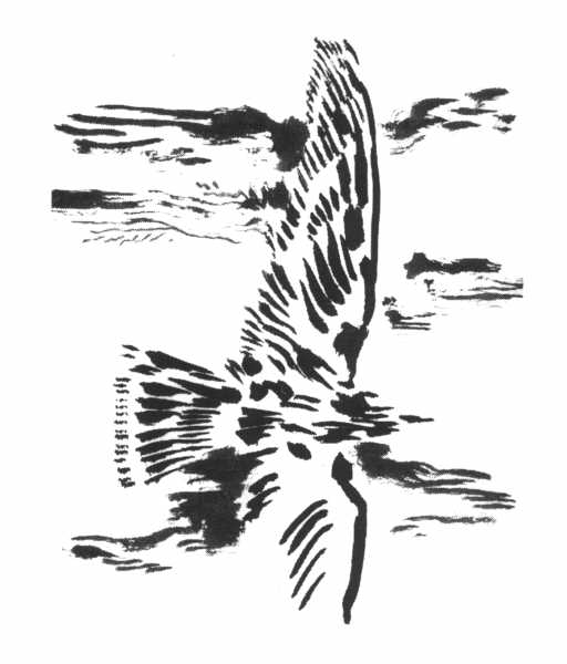 Clive Barker - Aerial