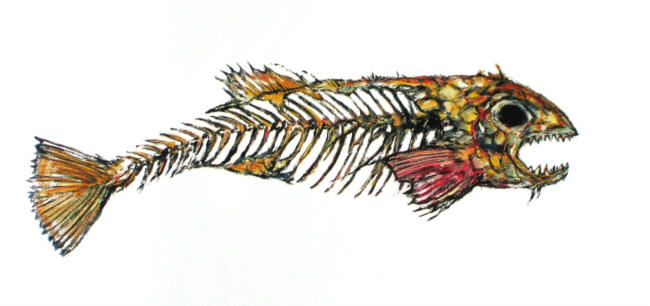 The Official Clive Barker Website - Revelations - Art Gallery - Fish  Skeleton