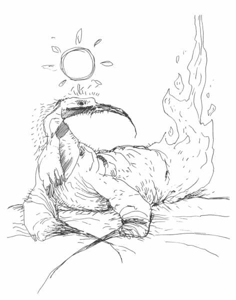 Clive Barker - Ibis In The Sun