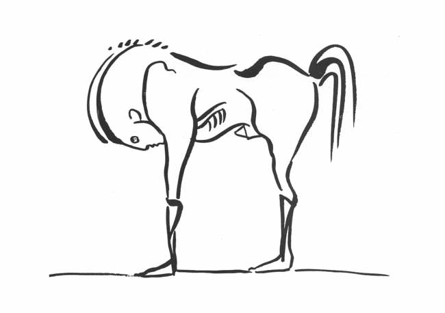 Clive Barker - Stallion Boy