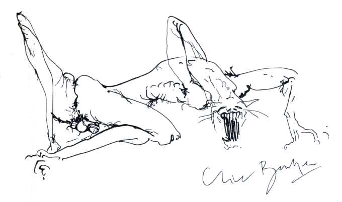 Clive Barker - Werecat